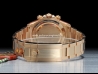 Rolex Daytona Cosmograph Rose Gold Watch 116505
