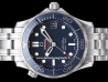 Omega Seamaster Diver 300M Co-Axial 212.30.36.20.03.001